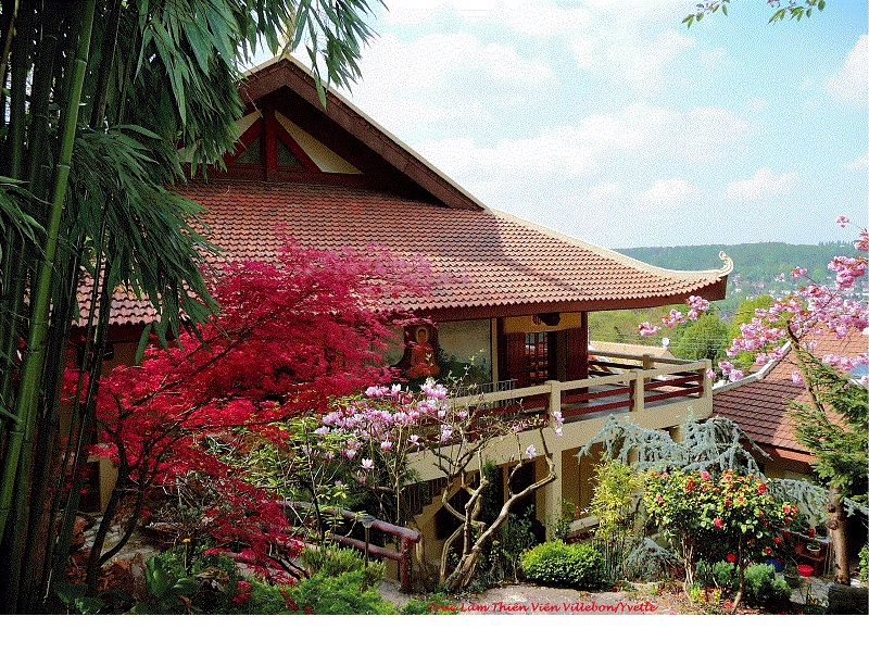 Visioconférence sur le bouddhisme : Bouddhisme et philosophies occidentales.