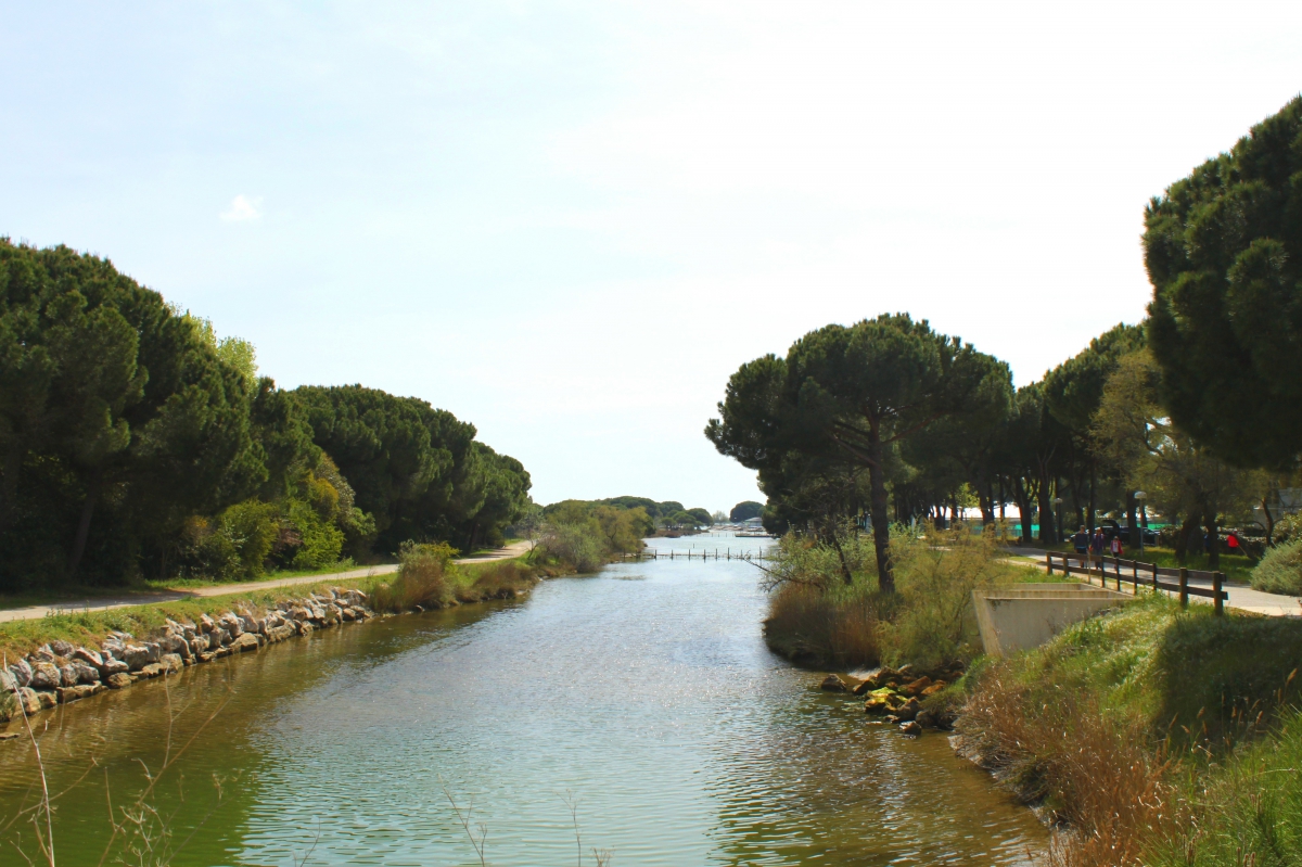 Balade au bord de l'eau