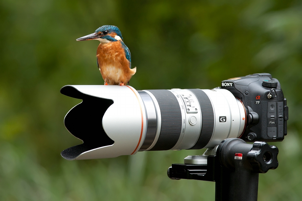 CLIN D'OEIL PHOTOS ON CONTINUE EN FEVRIER