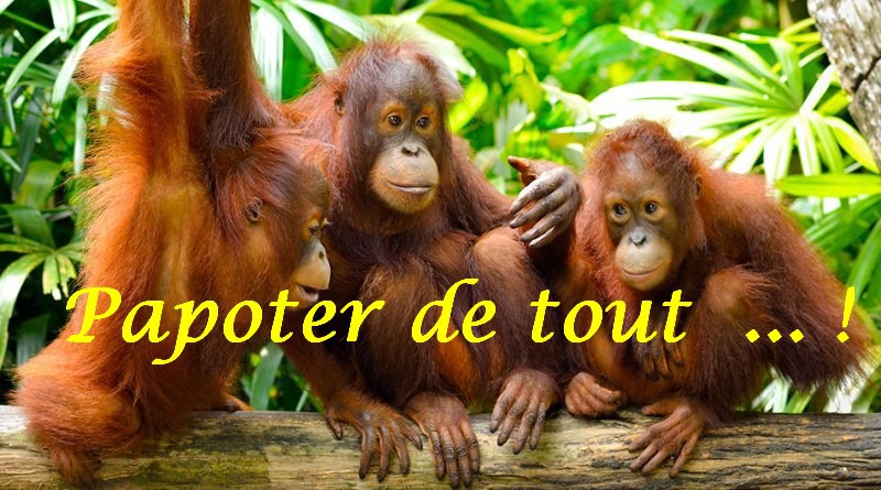 Papotage, activités diverses