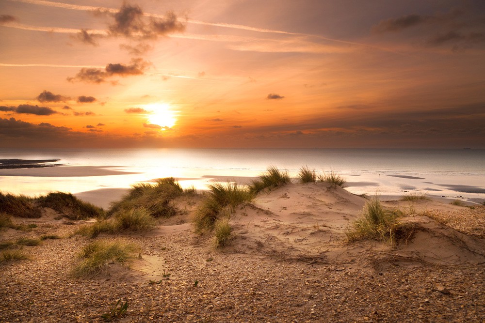 Dunes de Fort Mahon - Dunes vivantes au crépuscule
