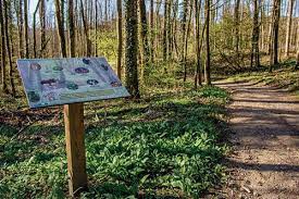 Marche du Bois de Thionville