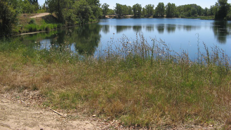 Détente à l'étang de pêche de Vestric