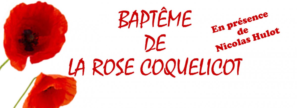 Bapteme Rose Coquelicot