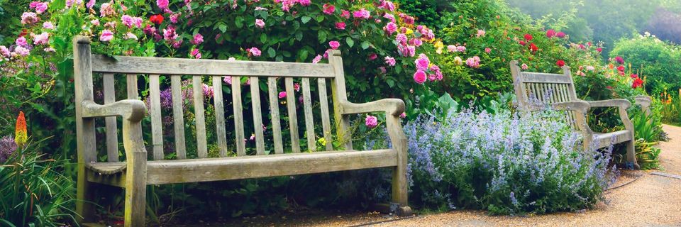 Aérons nous tout en bougeant et nous relaxant + pique nique