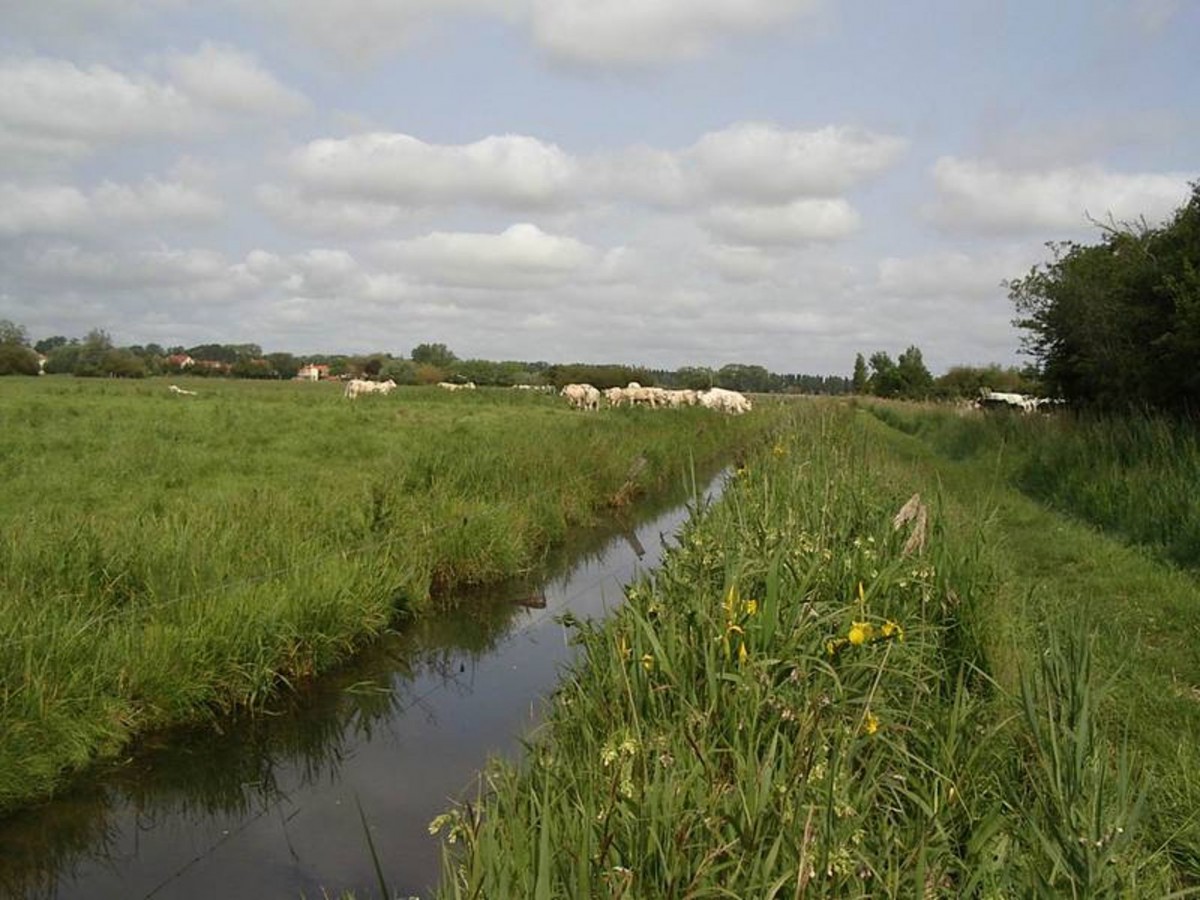 Randonnée : la boucle des marais