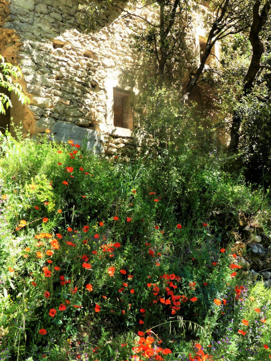 Ballade Saint Restitut-village troglodyte de Barry