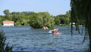 Sortie pédalo ou bateau sur le  lac d'Ardres