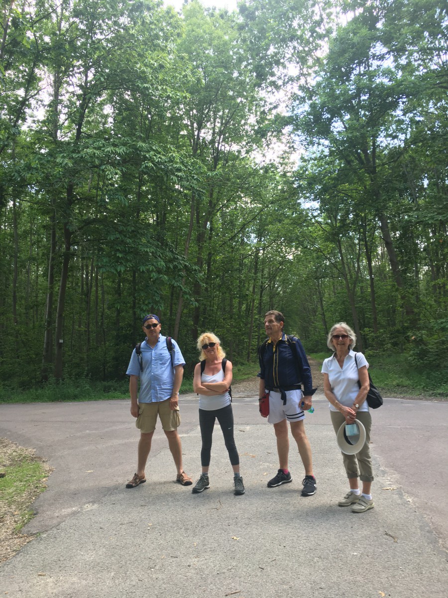 Marche  Cueillette des champignons Foret du Rouvray