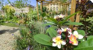 Art et Jardins