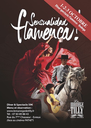 Sensualidad Flamenca
