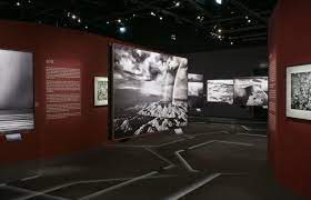 SALGADO - AMAZONIA
