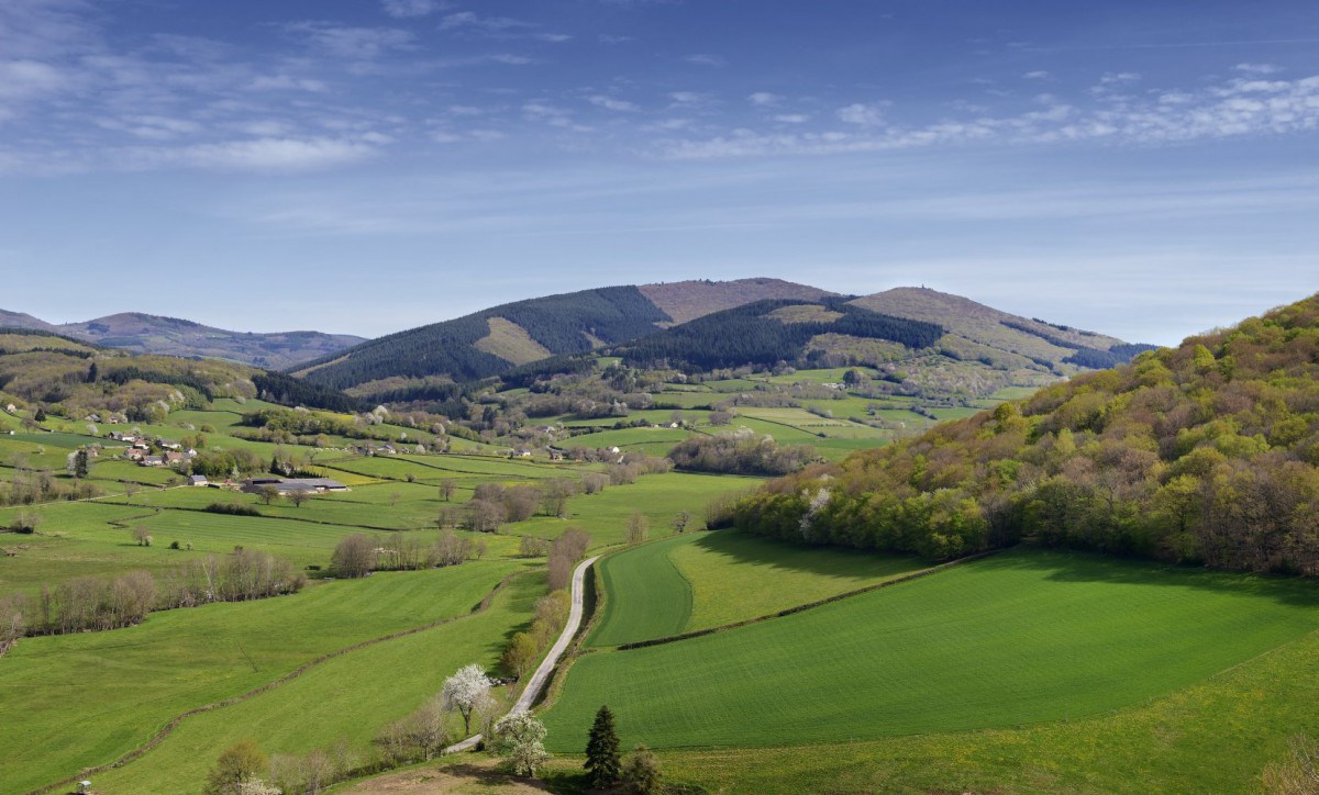 Fantastic picnic au mont Beuvray