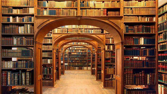 Notre bibliothèque  soloesque