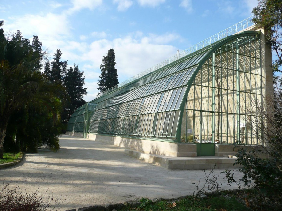 Balade/visite du  jardin des plantes