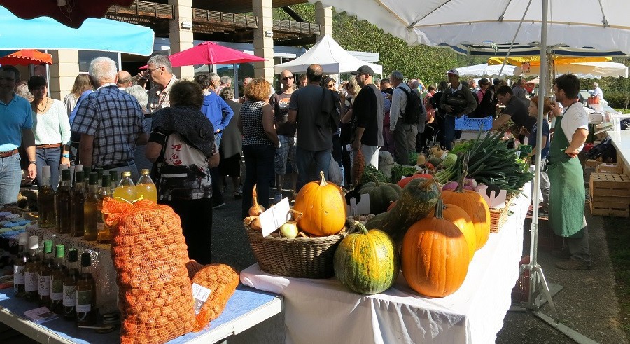 LE GRAND SECHOIR  MARCHE DU TERROIR ET FETE DES PLANTES