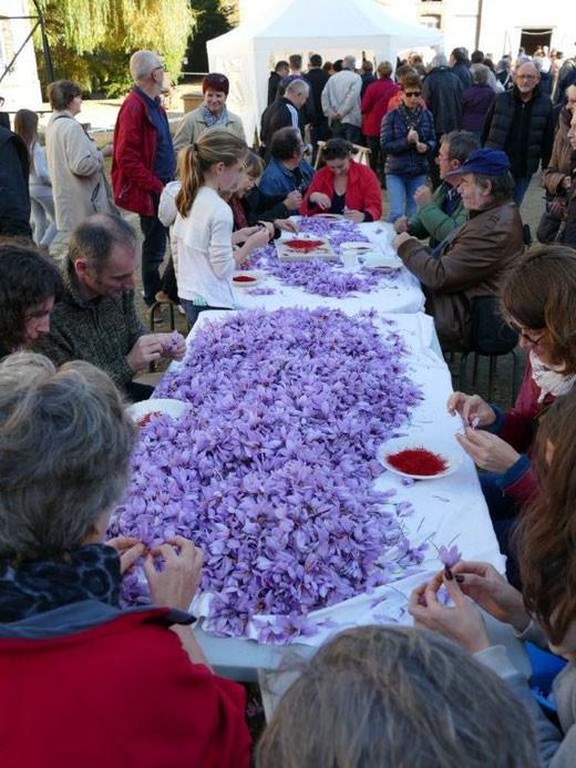 Fête du safran à Broué