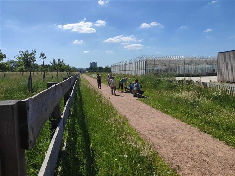 Promenade détente Parc des Bruyères (annulee)