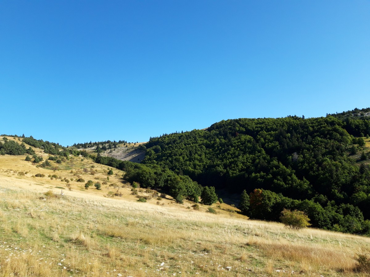 L'automne et ses couleurs