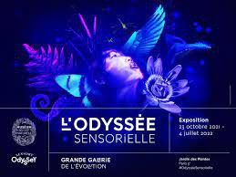L'odyssée sensorielle
