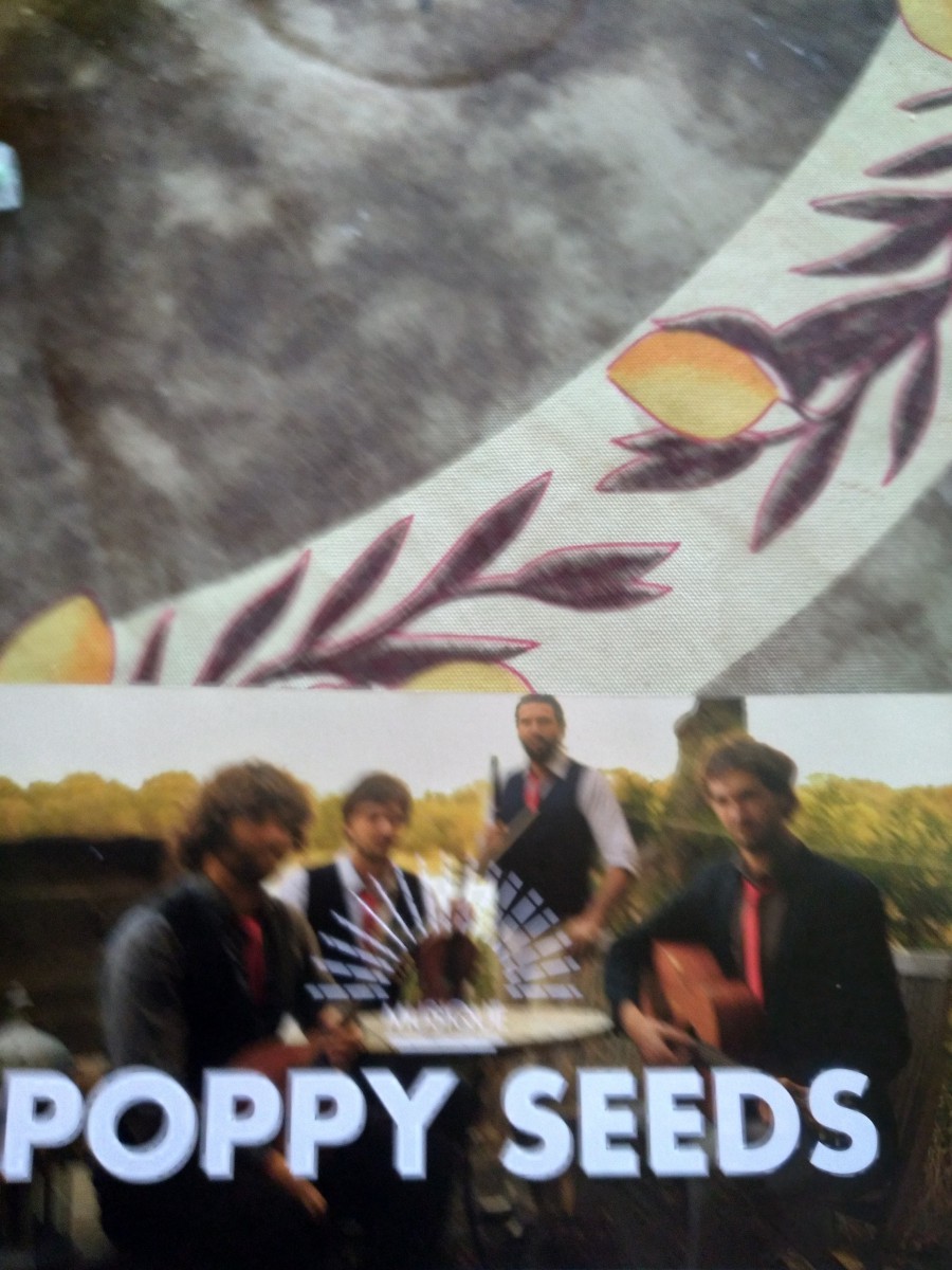 Concert POPPY SEEDS