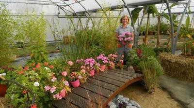 Auprès de mon arbre