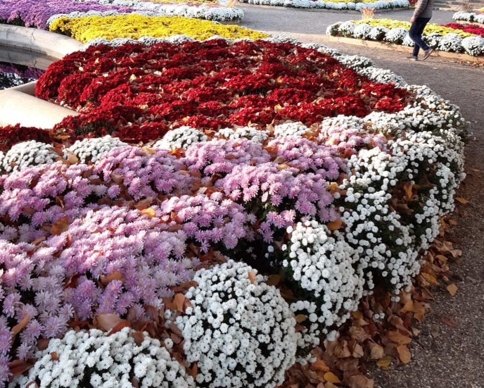 Jardin des plantes décoré