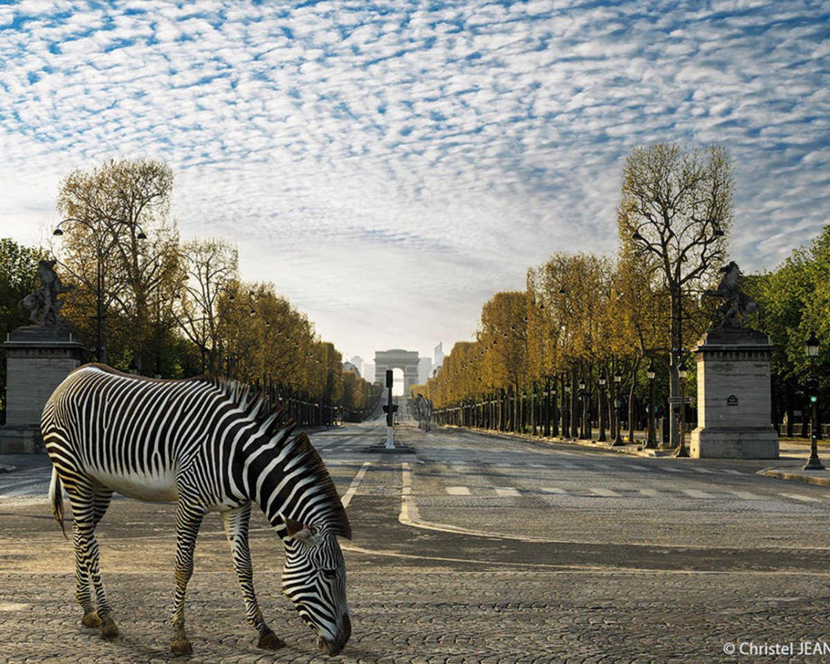 EXPO ZOOnose en exterieur