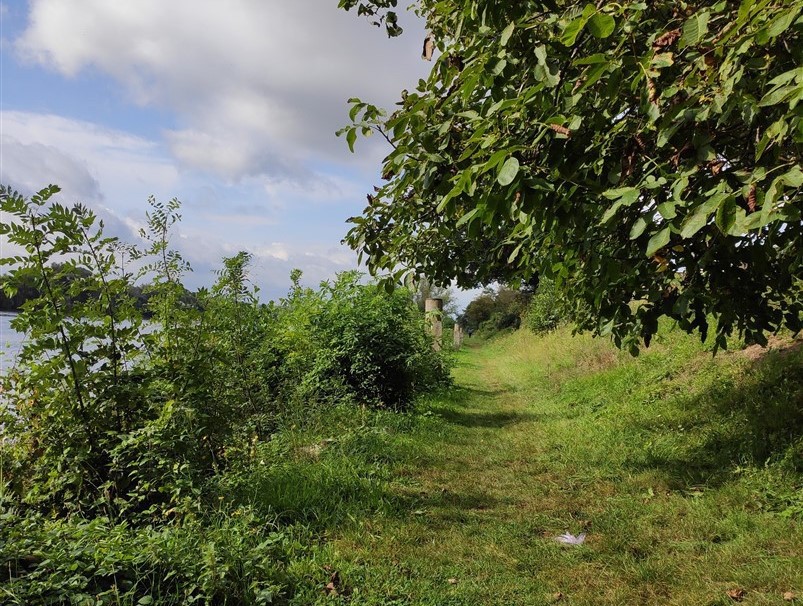 Balade-rando  vers Freneuse
