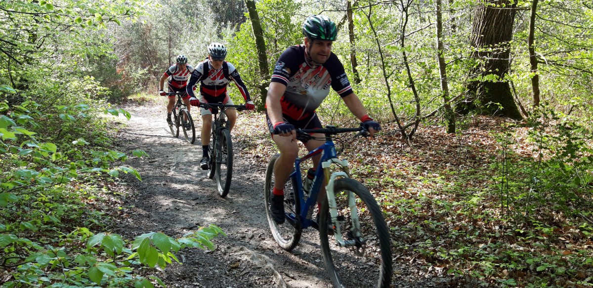 Balade VTT en forêt