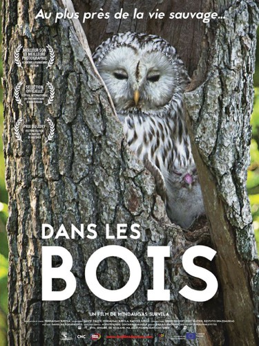 Mois du Documentaire : Dans les bois