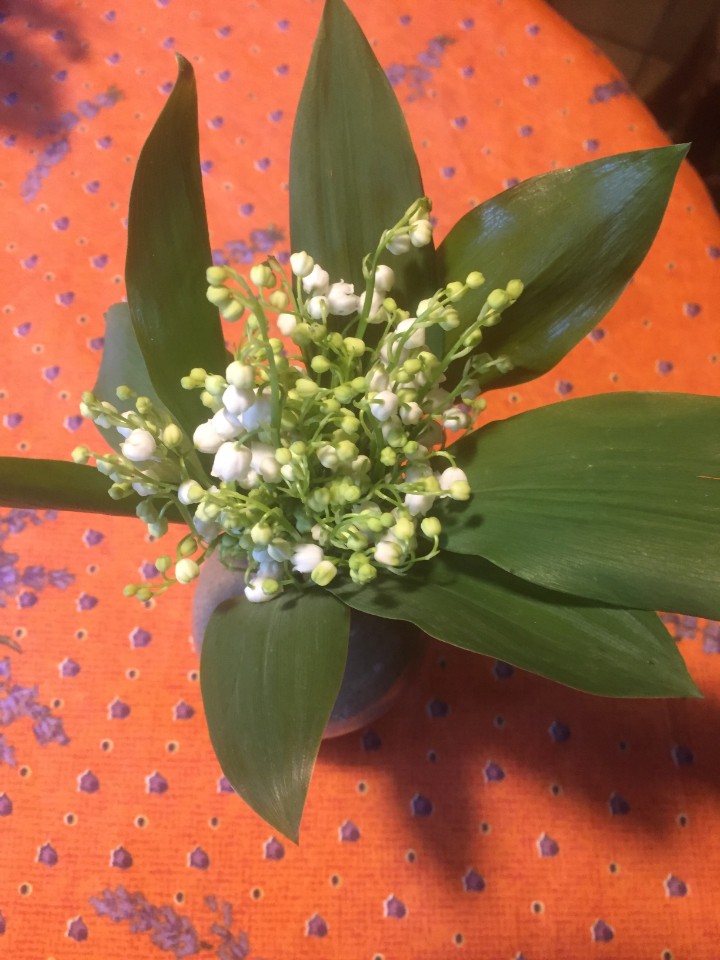 GOUTER  ET CUEILLETTE DE MUGUET