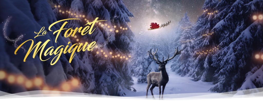 Ambiance de Noël + concert flamenco