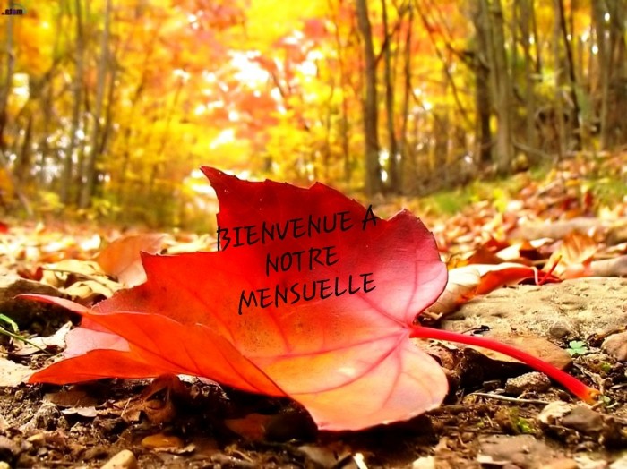 Mensuelle de Novembre