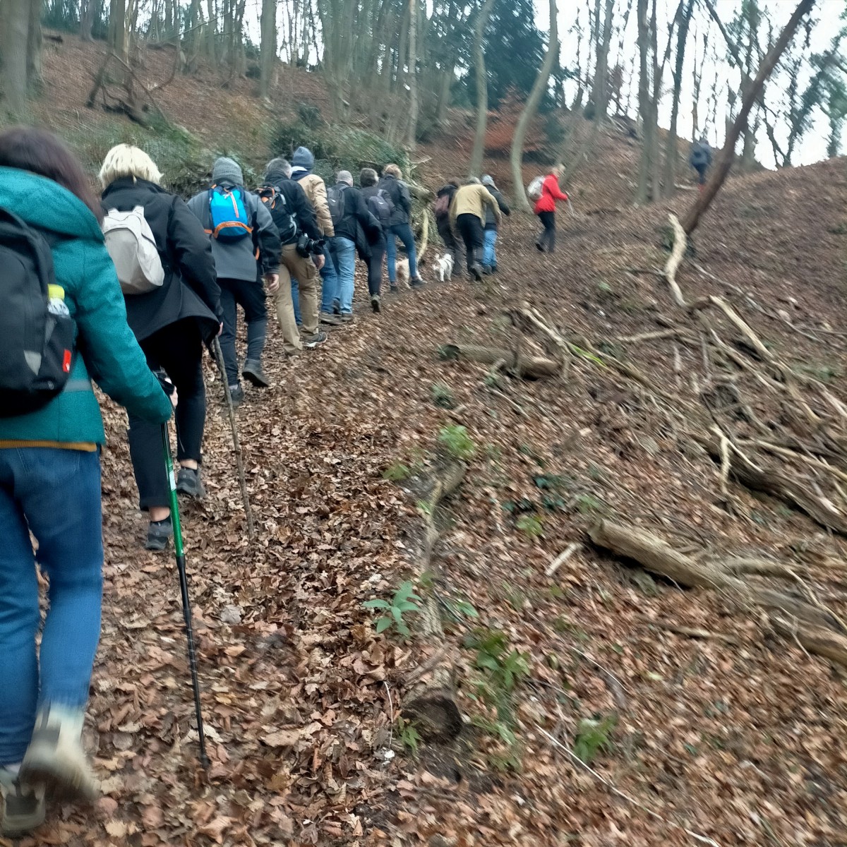 RAndo  port  du RIre La LOnde