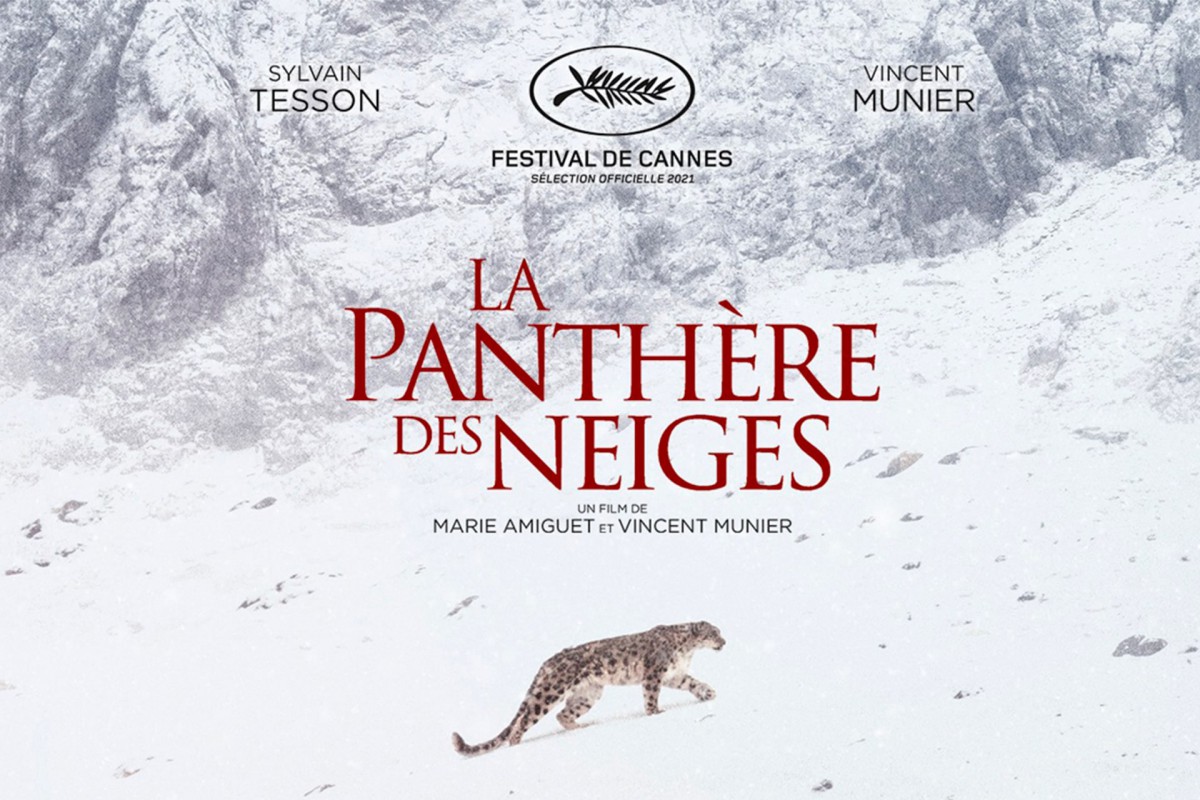 CINÉ : La panthère des neiges 🎬