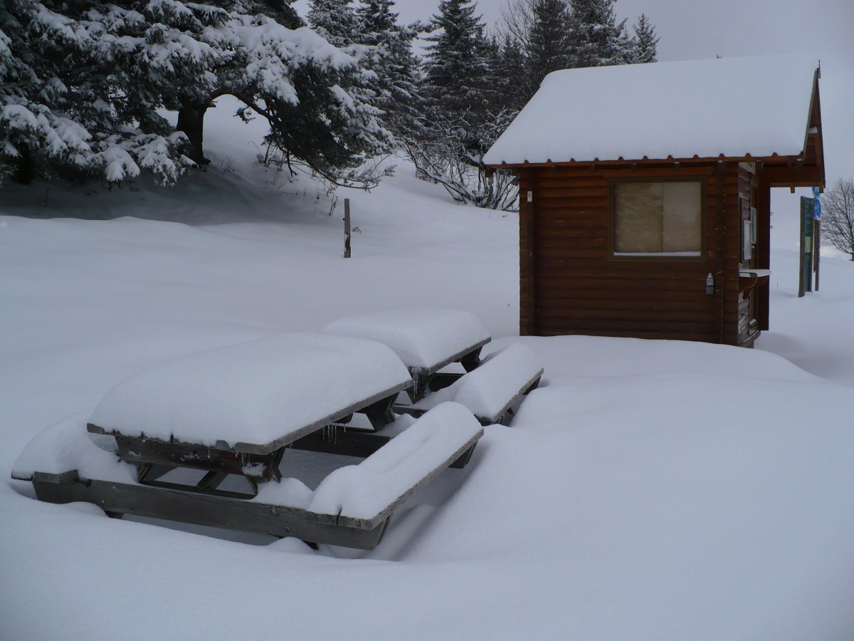 BALADE RAQUETTES LES ALLIERES A LANS EN VERCORS