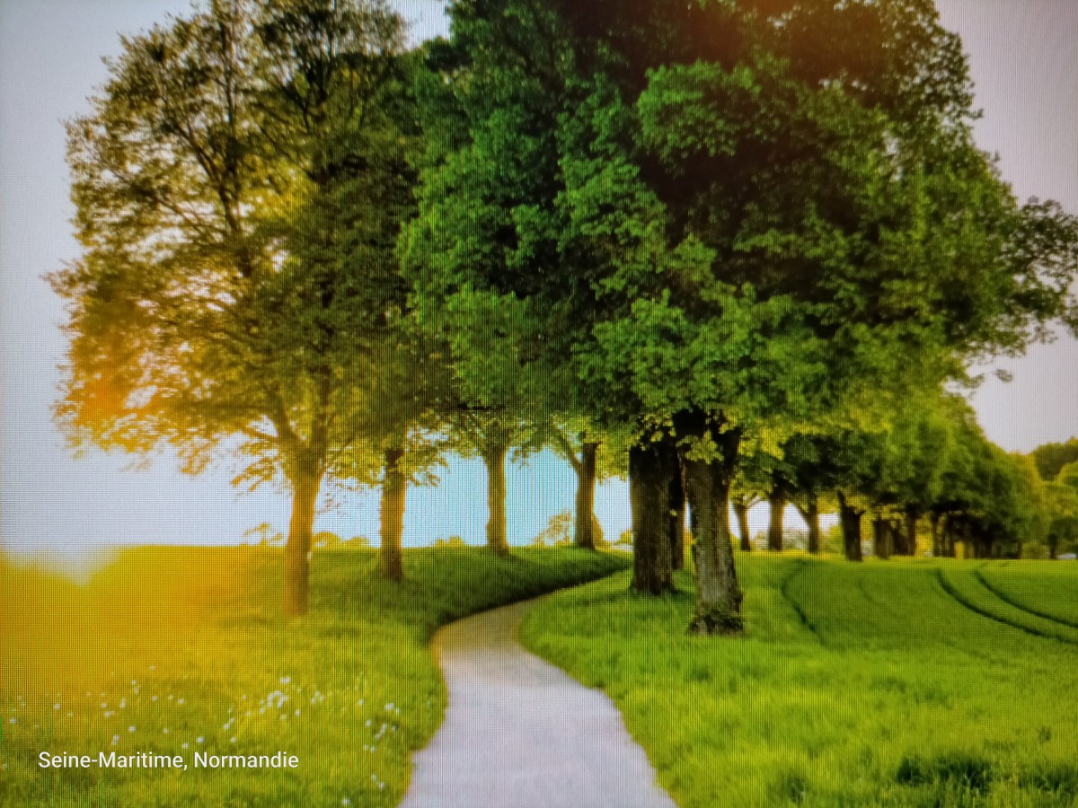 RAndo-LEs  AUthieux TouRville   la RiViére   Sport Contacts