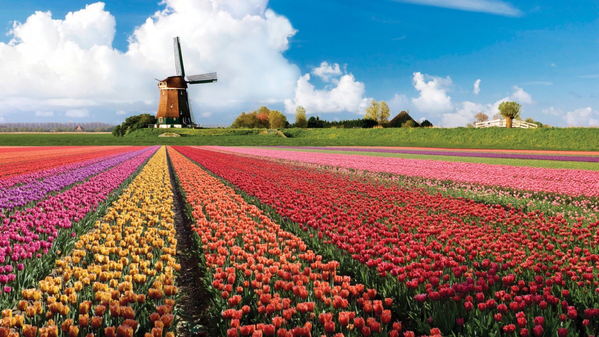 CITY LOW COST... AMSTERDAM & KEUKENHOF