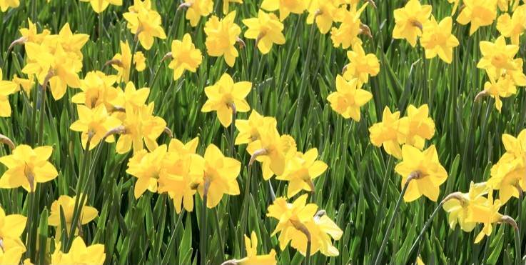 Marche Le Bocasse-Clères