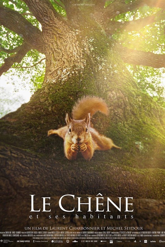 Un documentaire au cinéma