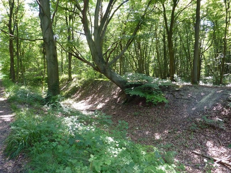 Rando pédestre Maffliers et Nerville-la-forêt