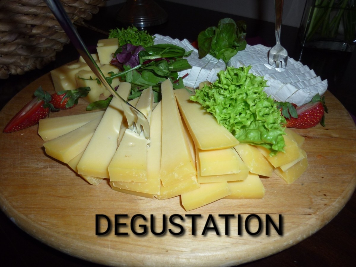 DEGUSTATION DE FROMAGES