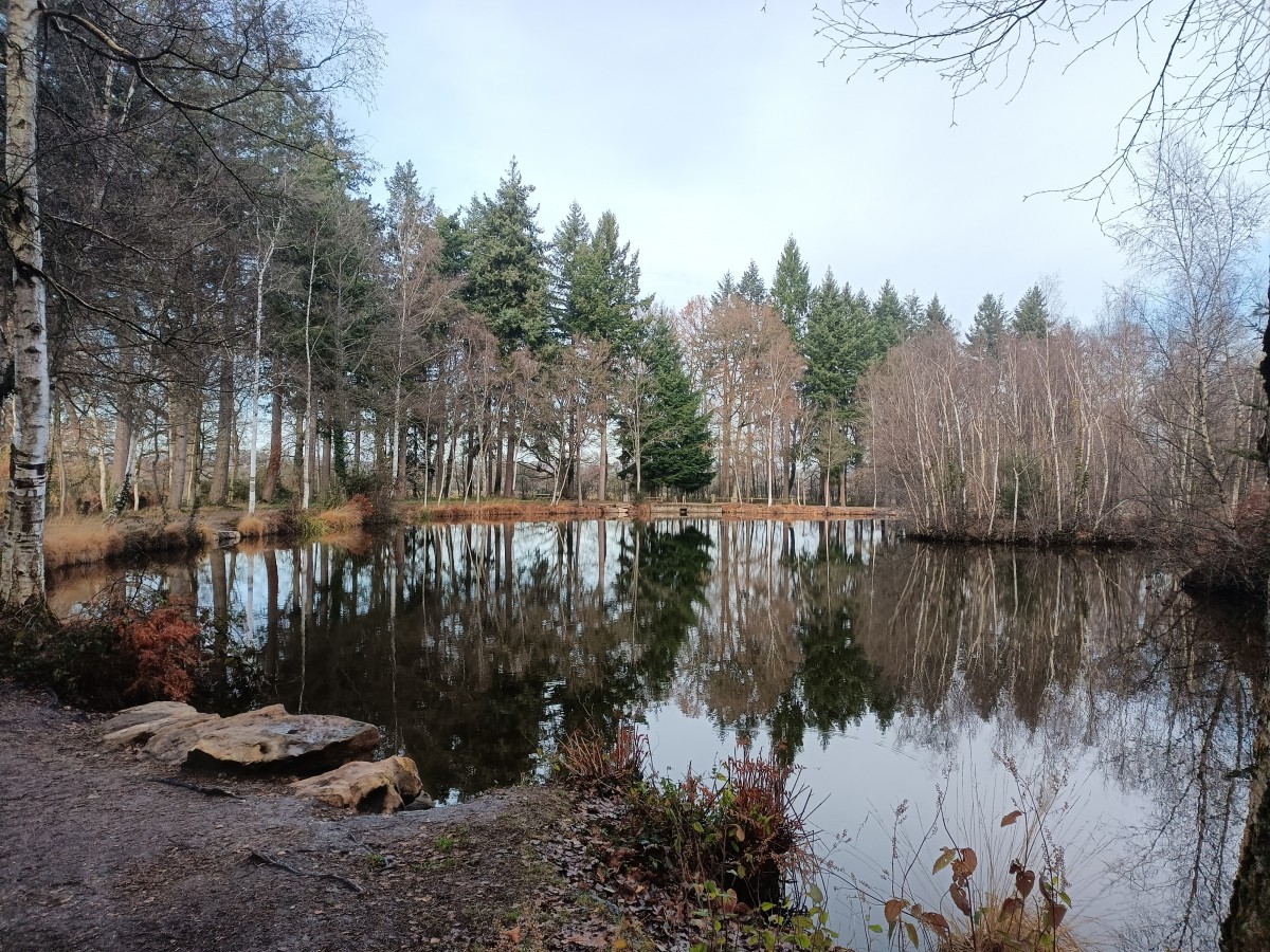 Bol d Air à l Arche de la Nature