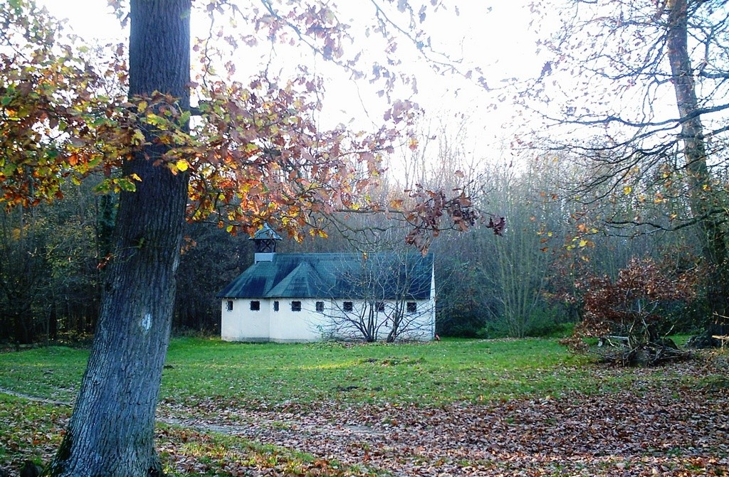 Balade et piquenique