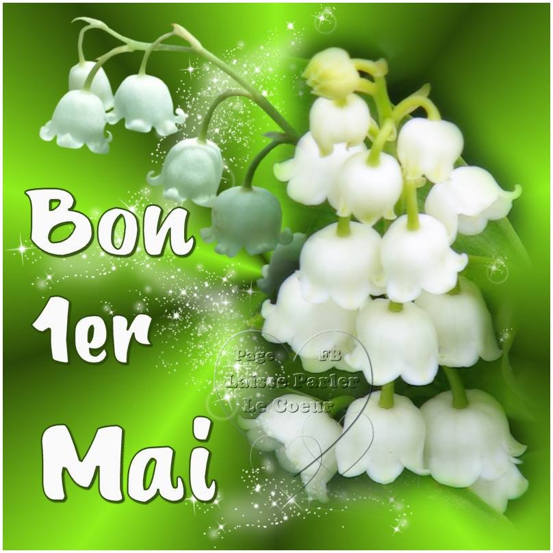 Pique-nique balade du muguet