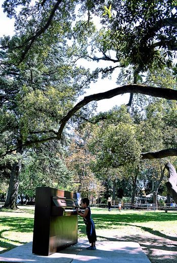Un Piano sous les Arbres. Festival 4 jours