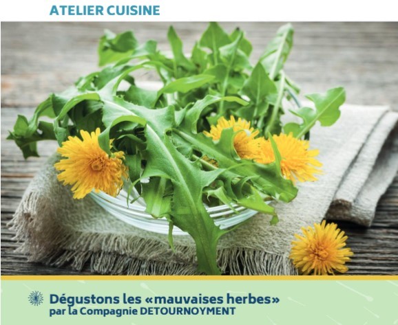 Gardin Party - Dégustons les mauvaises herbes