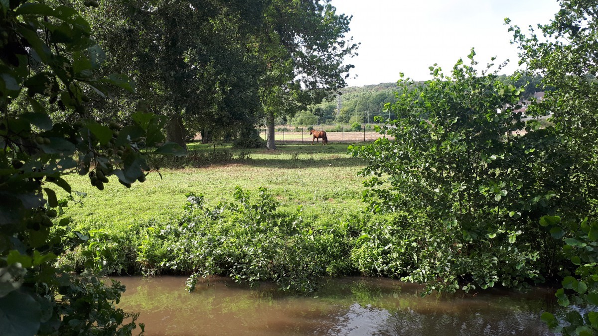 BBQ et activités de plein air à Saint-Chéron