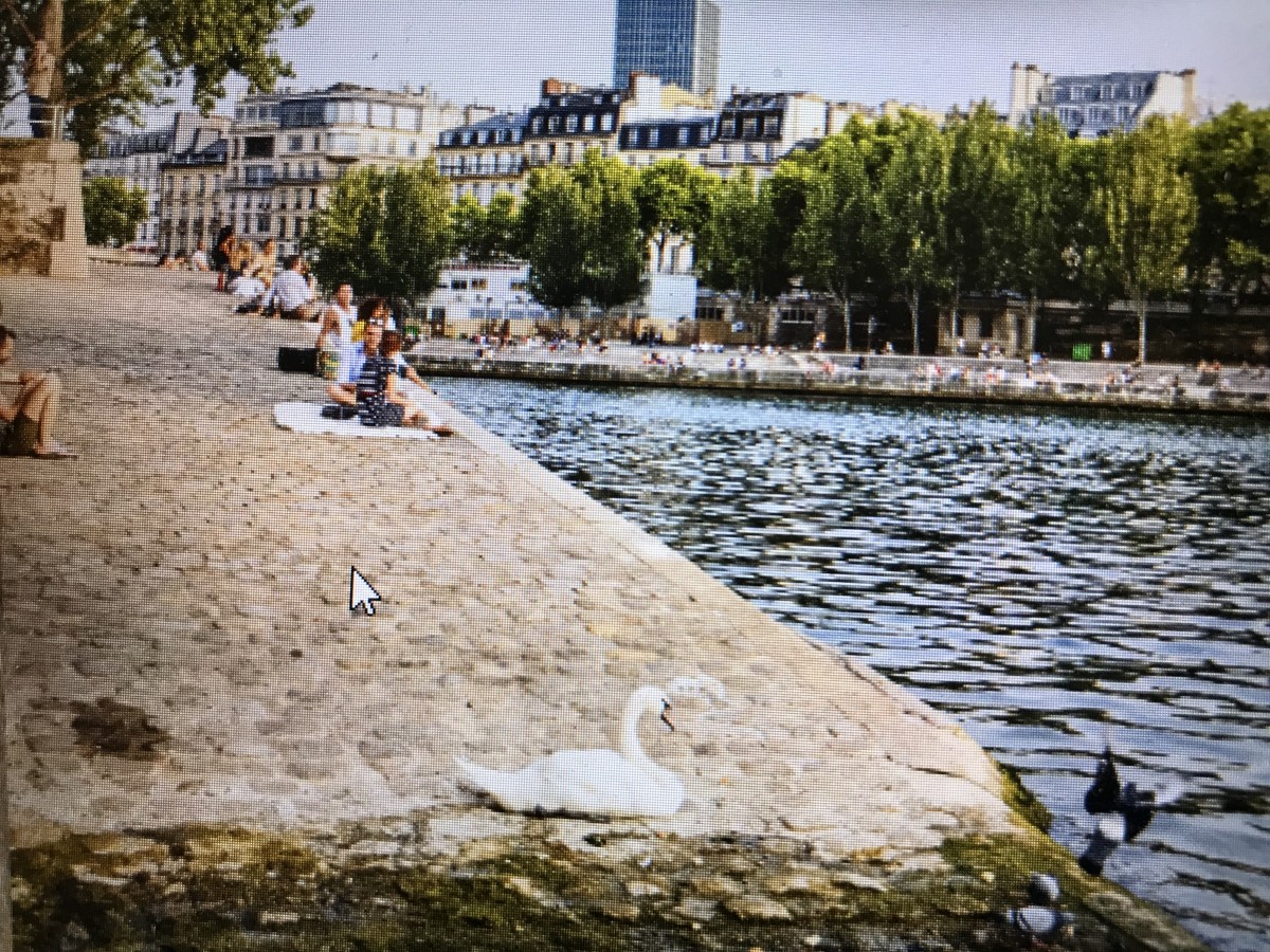 pique nique Quai St Bernard